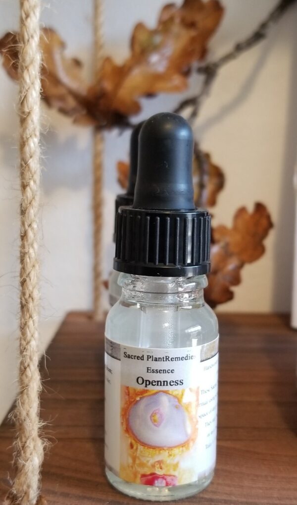 Openness Plant Essence – Heart-Centred Support for Fulfilment & Emotional Flow (10ml)