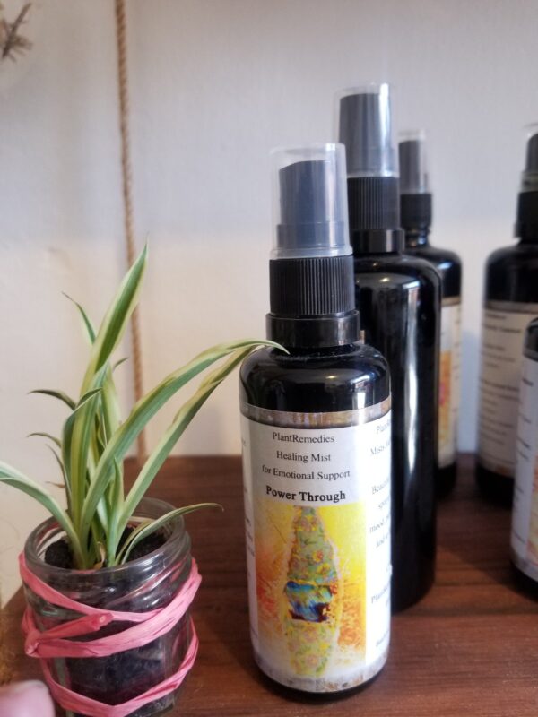Power Through Healing Mist – Emotional Support & Grounding Spray