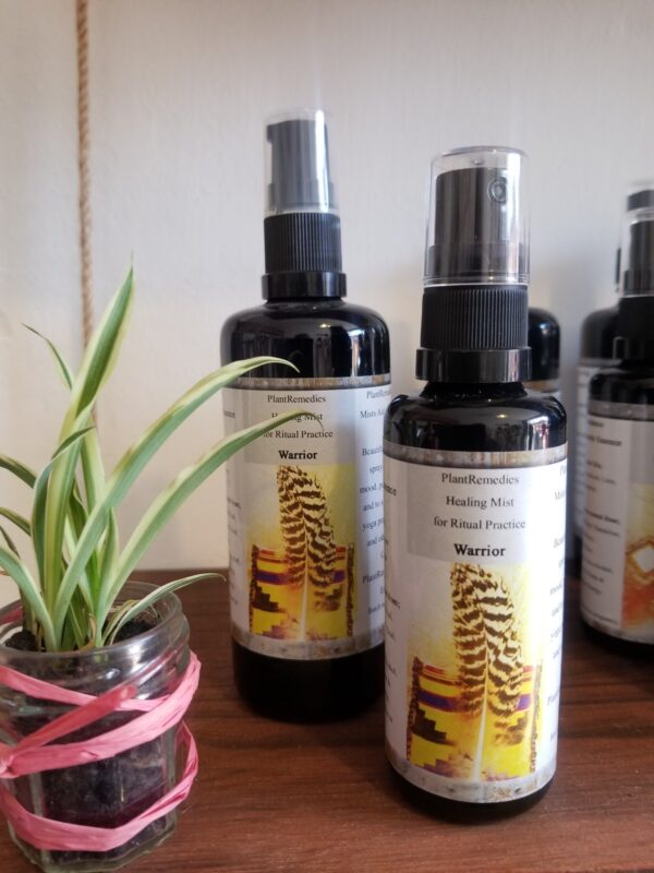 Warrior Healing Mist – Inner Strength Botanical Spray (50ml)