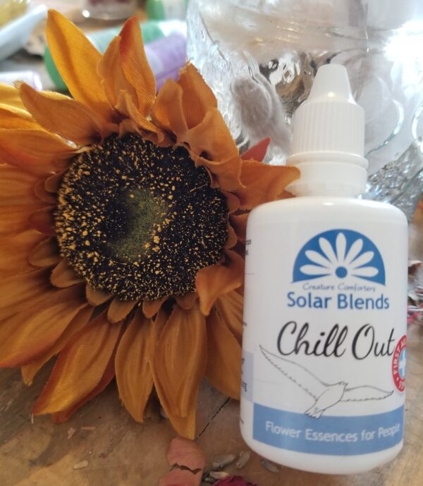 Solar Blends – Chill Out (Flower Essence for People)