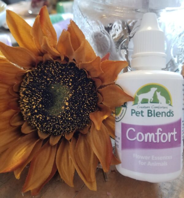 Pet Blends – Comfort