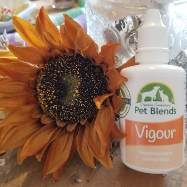 Pet Blends – Vigour (Flower Essence for Recovery & Vitality)