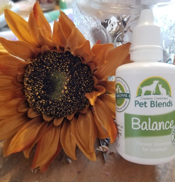Pet Blends® Balance – Natural Flower Essence for Animal Behavior Support (30ml)
