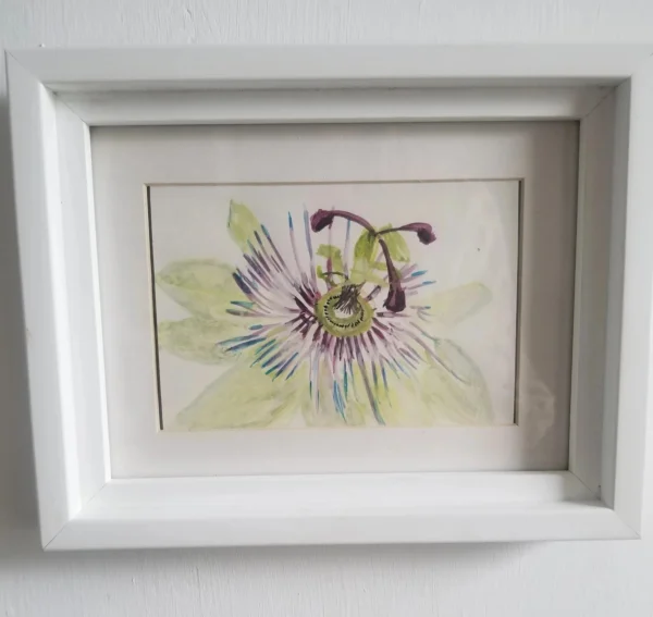 Passion Flower